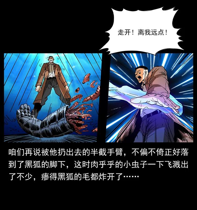 161 虫佛53