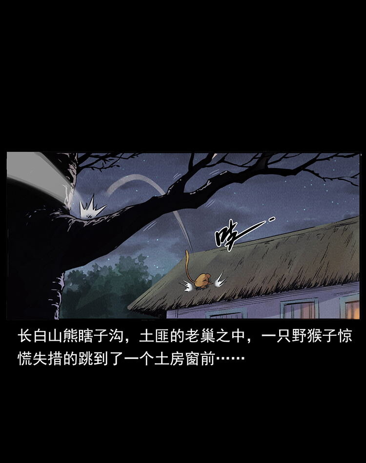 外传 洛生传3 剿匪1