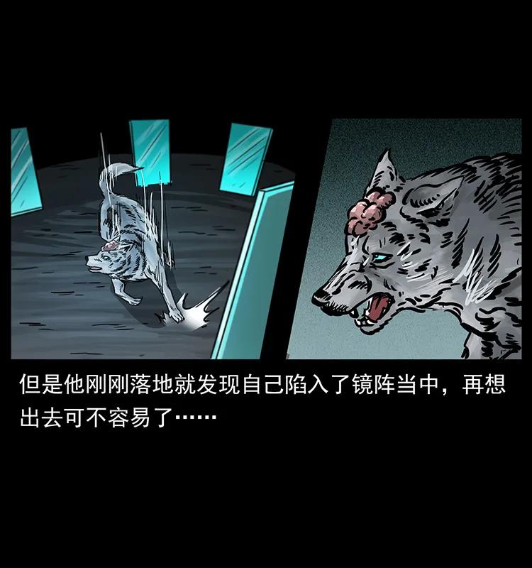 251 刨尸狗遇险78