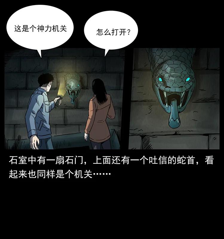 262 藏地神族22