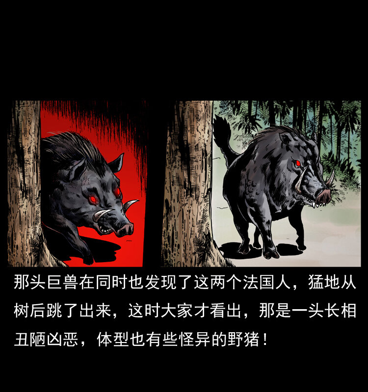 047 接龙骨37