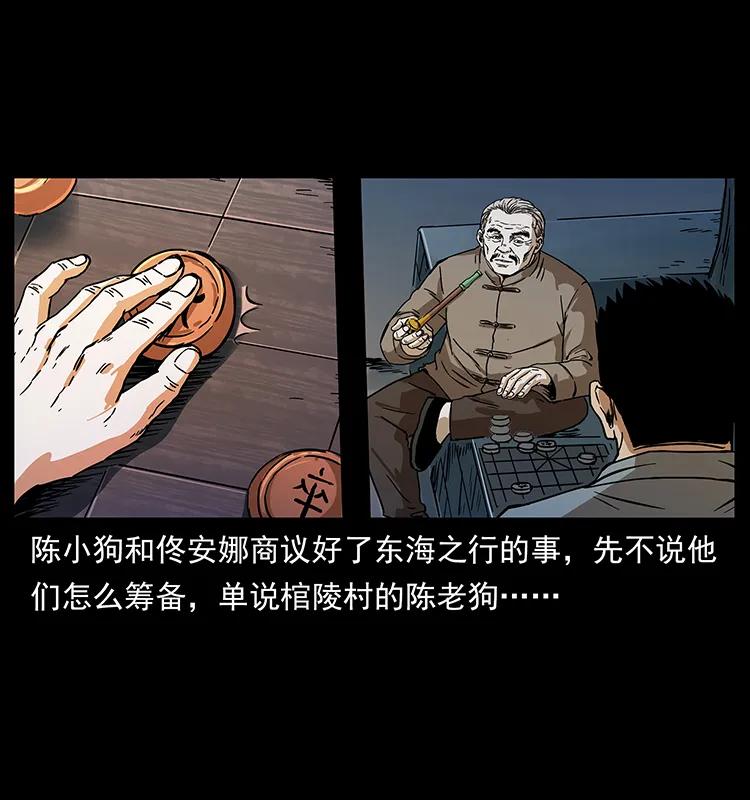 230 生桩1