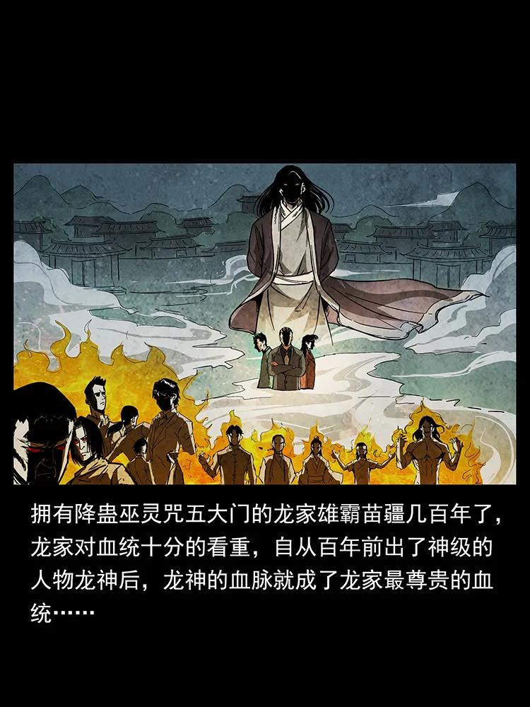 189 龙家的实力70