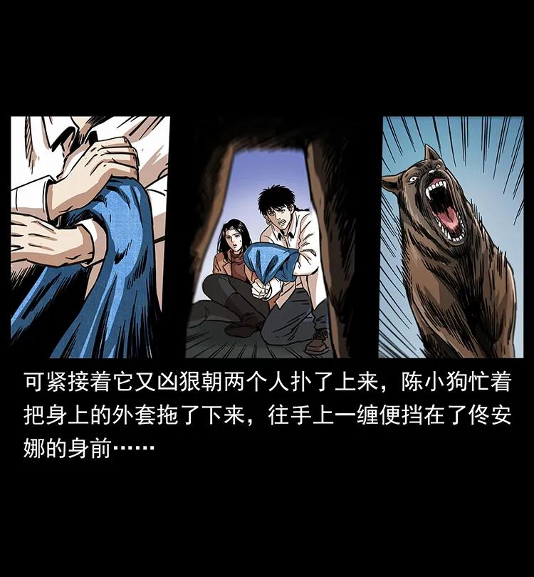 258 身后的危机39