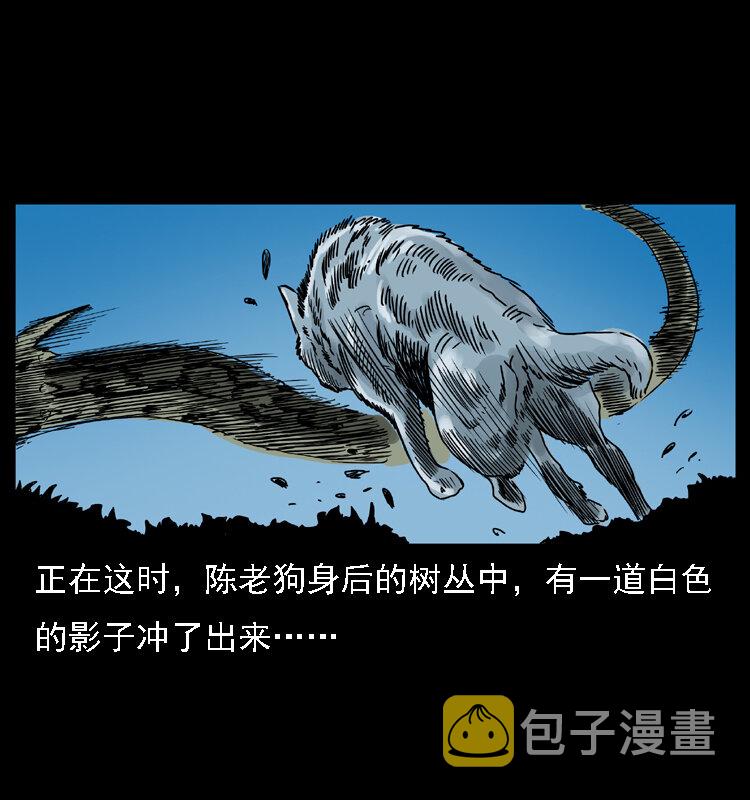 029 斗土蛟44