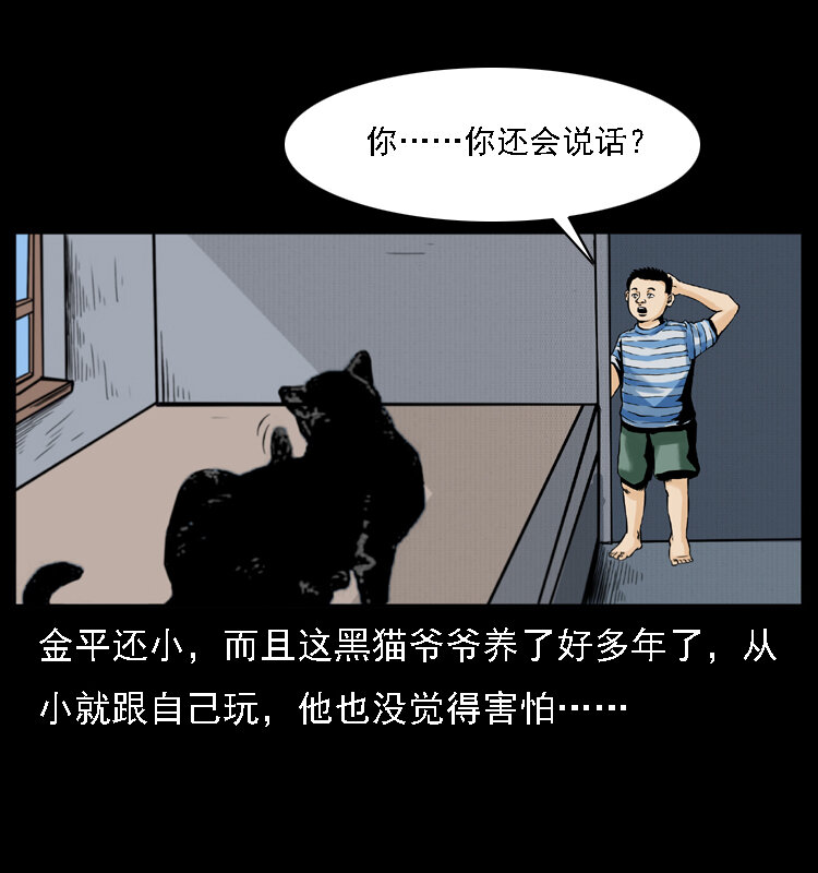 003 赵家的猫37
