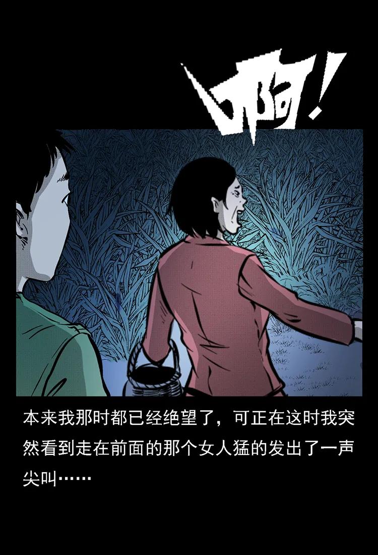 番外2 之保家白仙61