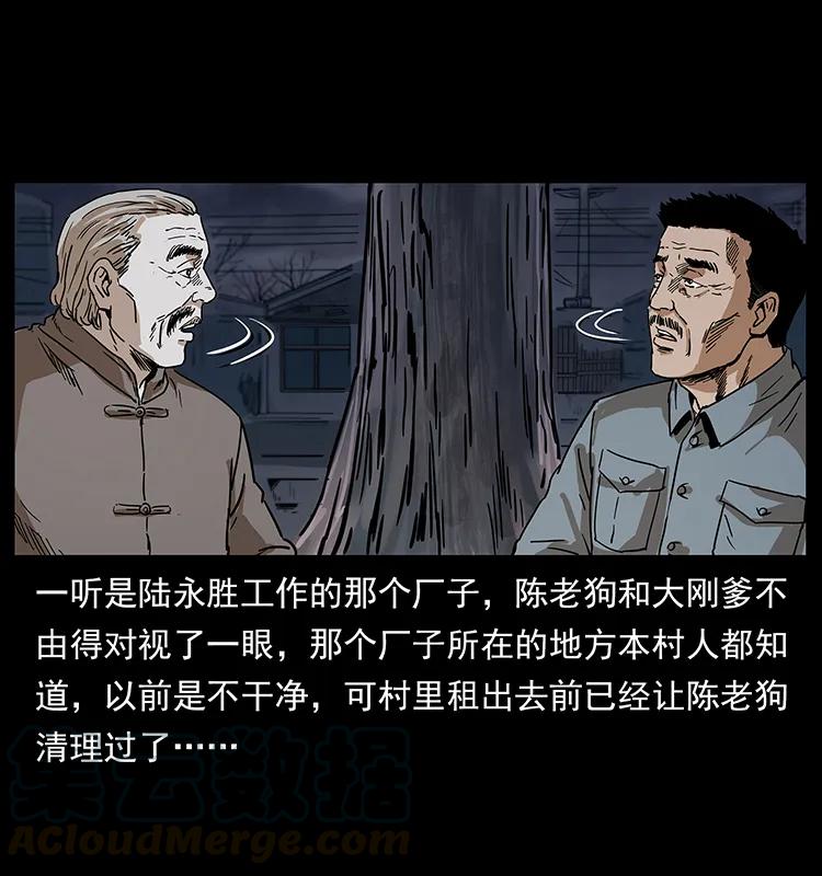 230 生桩12