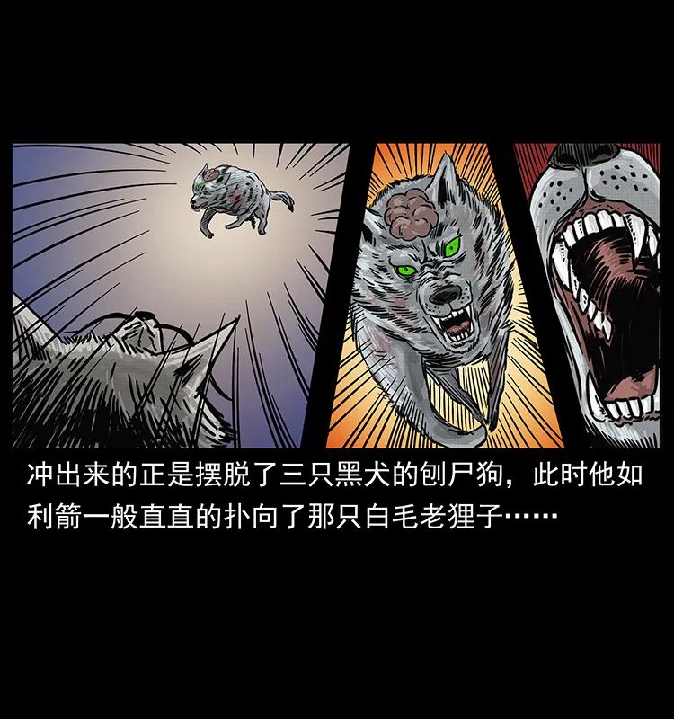 252 危机！危机83