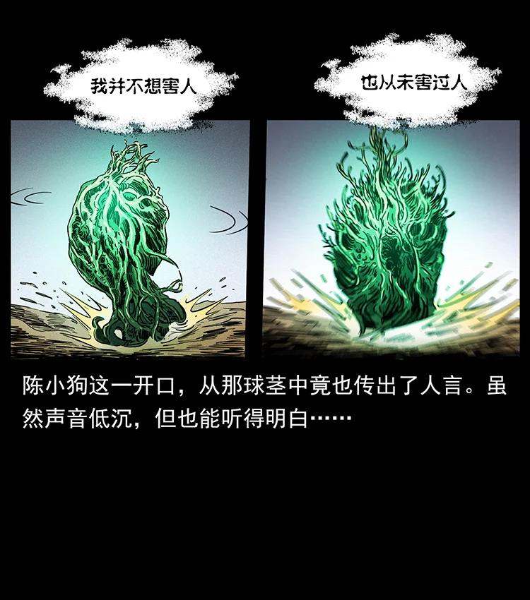 390 斩草除根77