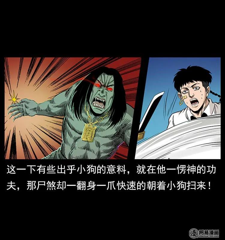 118 天宝仙牌23