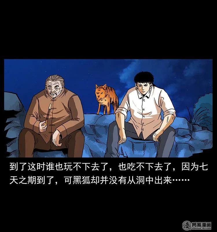 143 出马黑狐61