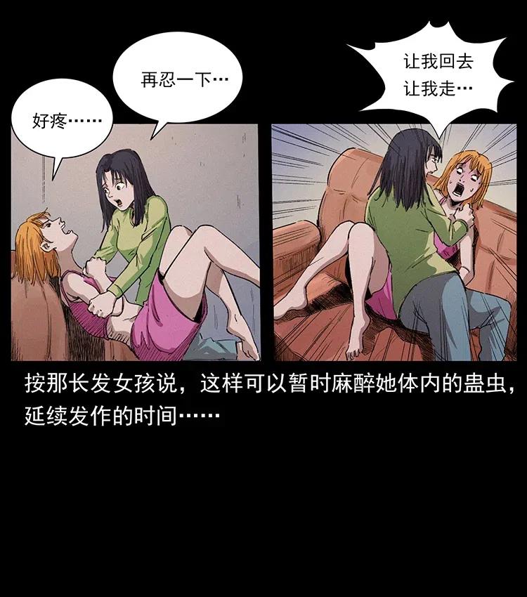 343 秦大麻烦的往事33