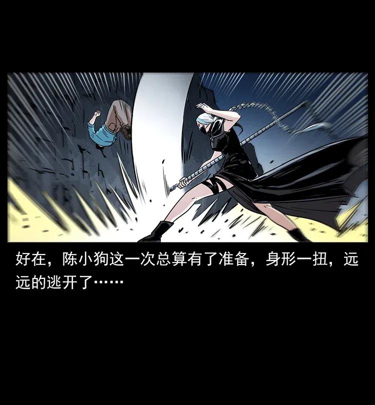 370 乌翅凤凰61