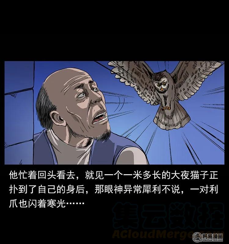 132 棺陵村诡事76