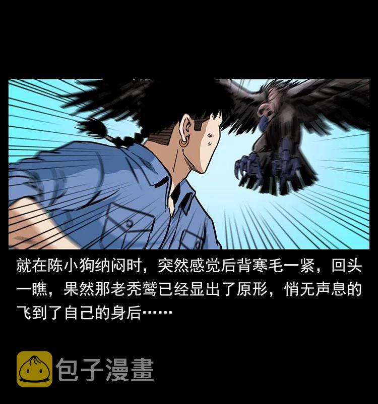 281 柱子归来！29