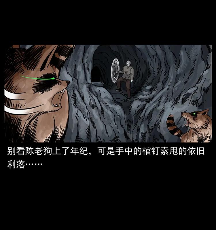 250 走失54