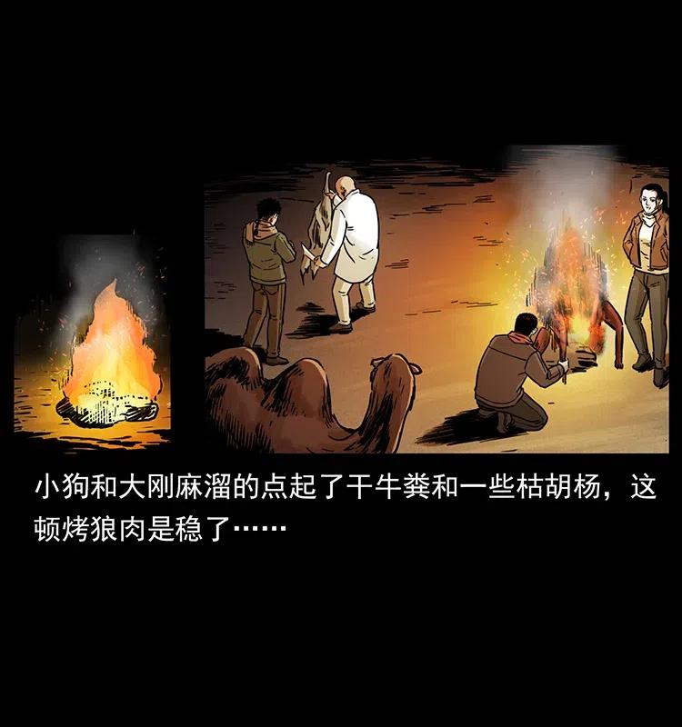 318 沙漠秃鹰39