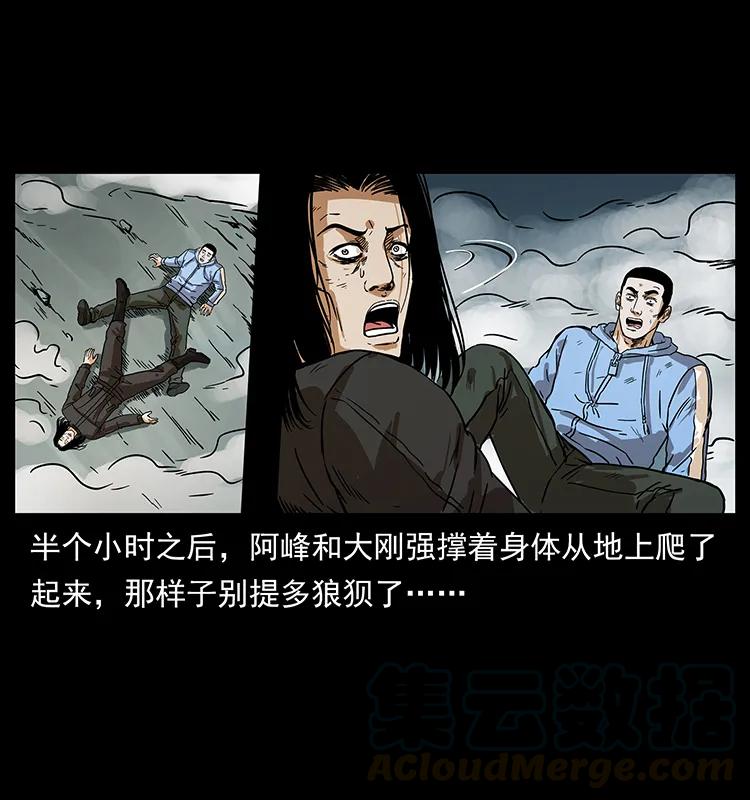 220 漠北白狼王60