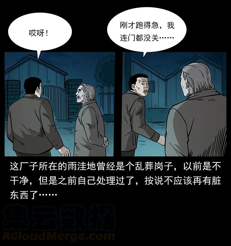 230 生桩48