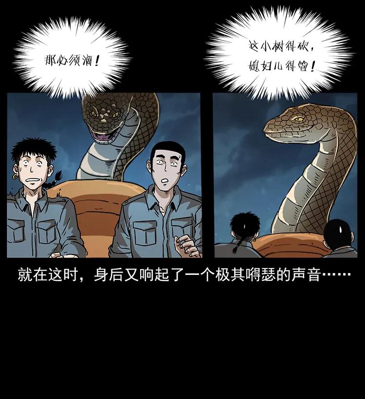242 陈小狗失算了78