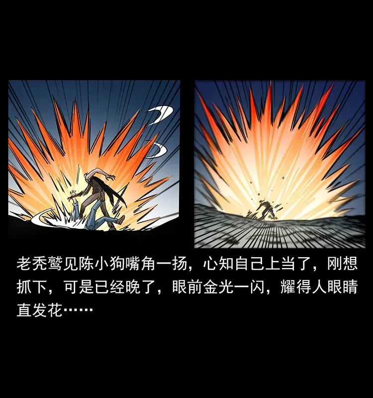 281 柱子归来！14