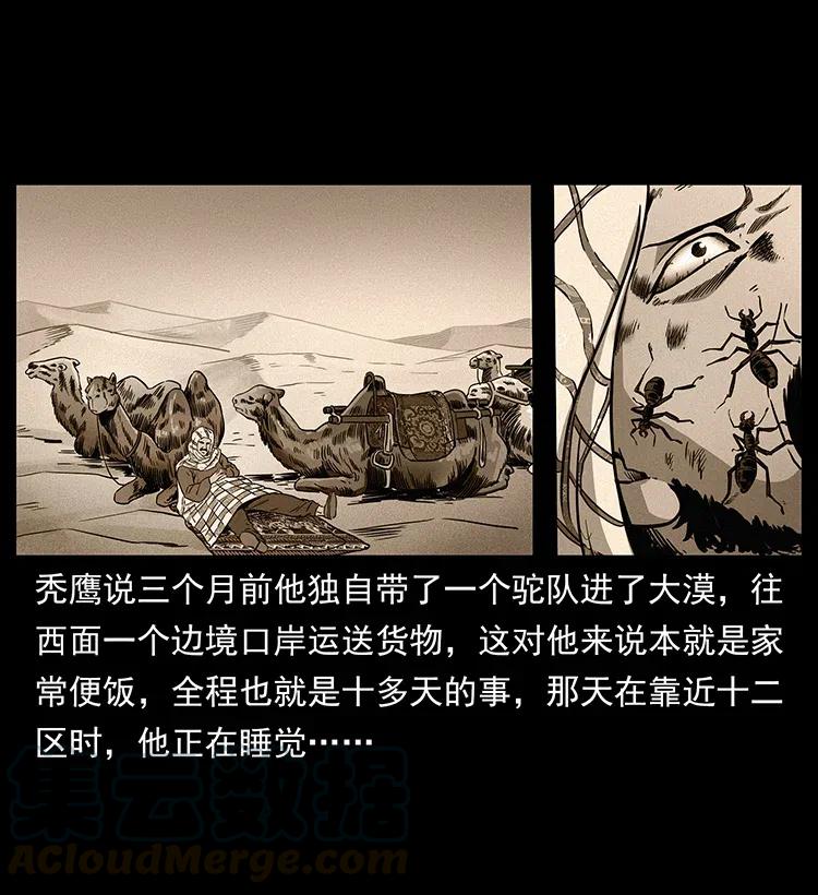 317 大漠凶兽12