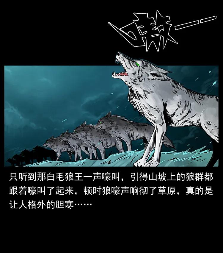 220 漠北白狼王82