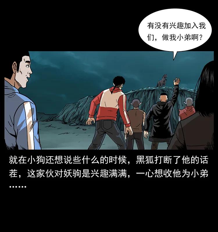 220 漠北白狼王73