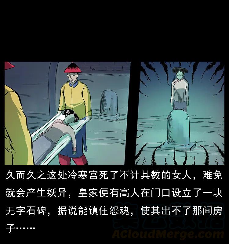 086 冷寒宫冤魂40