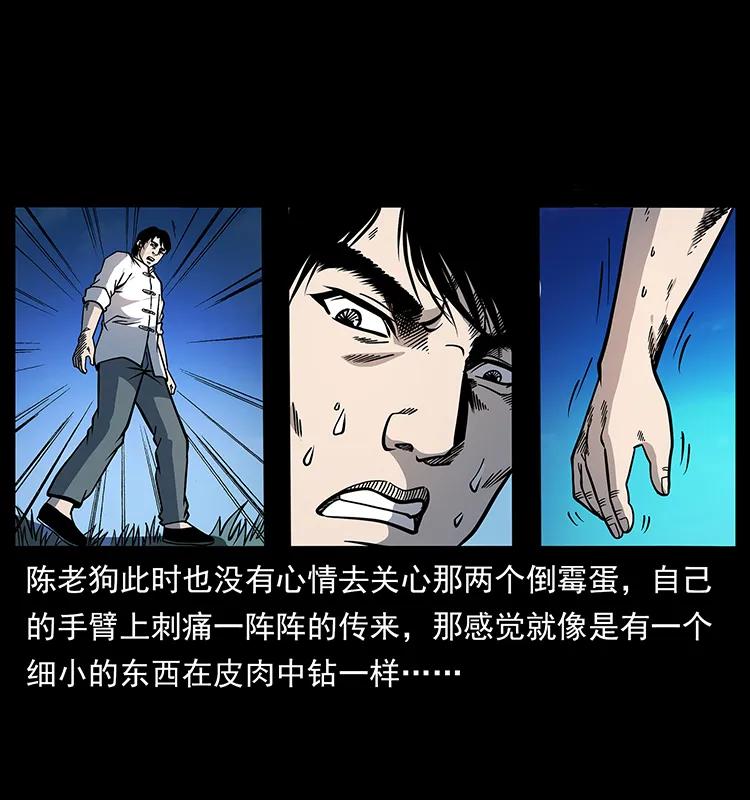 167 陈老狗遇险33