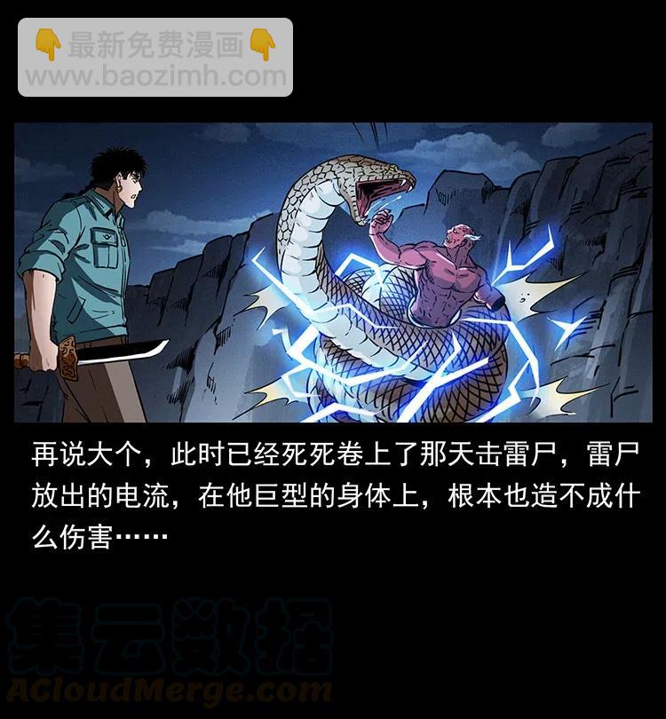 372 天击雷尸66