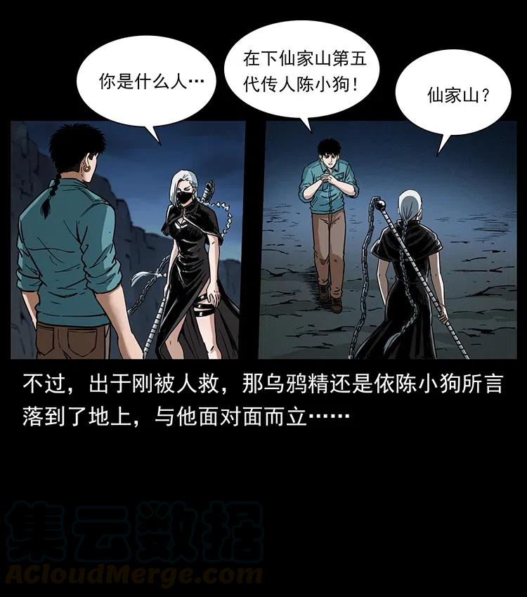 370 乌翅凤凰54
