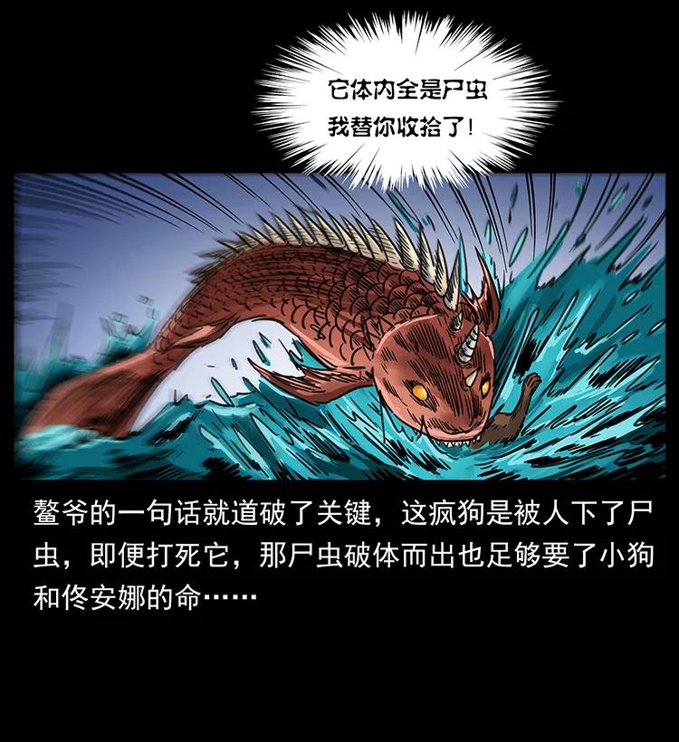 258 身后的危机47