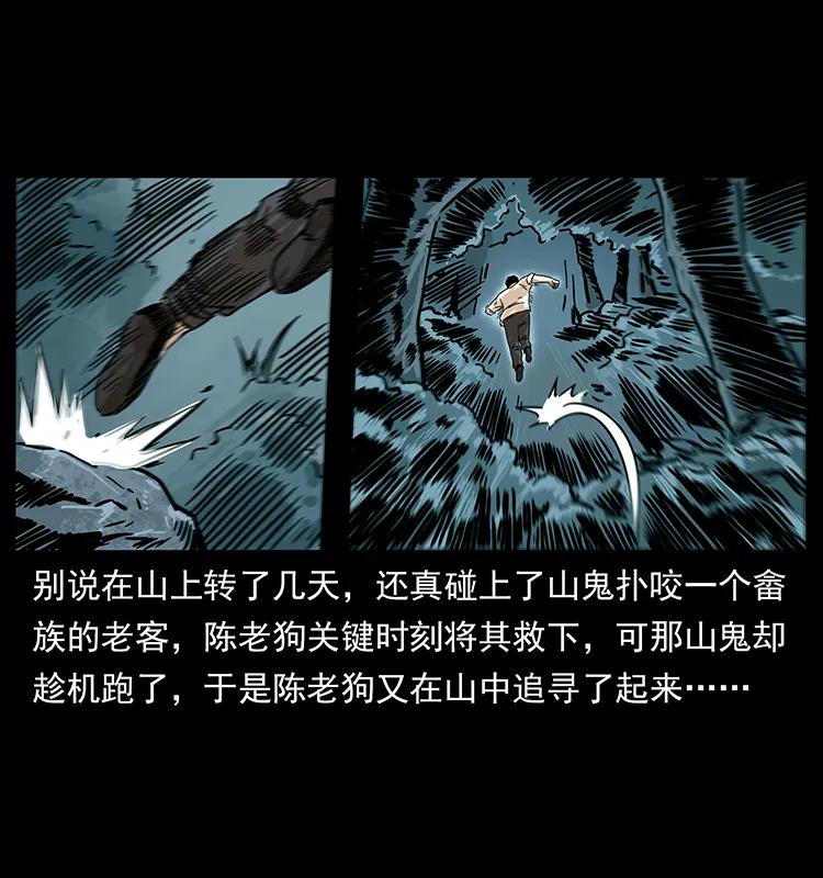 231 东海木龙14