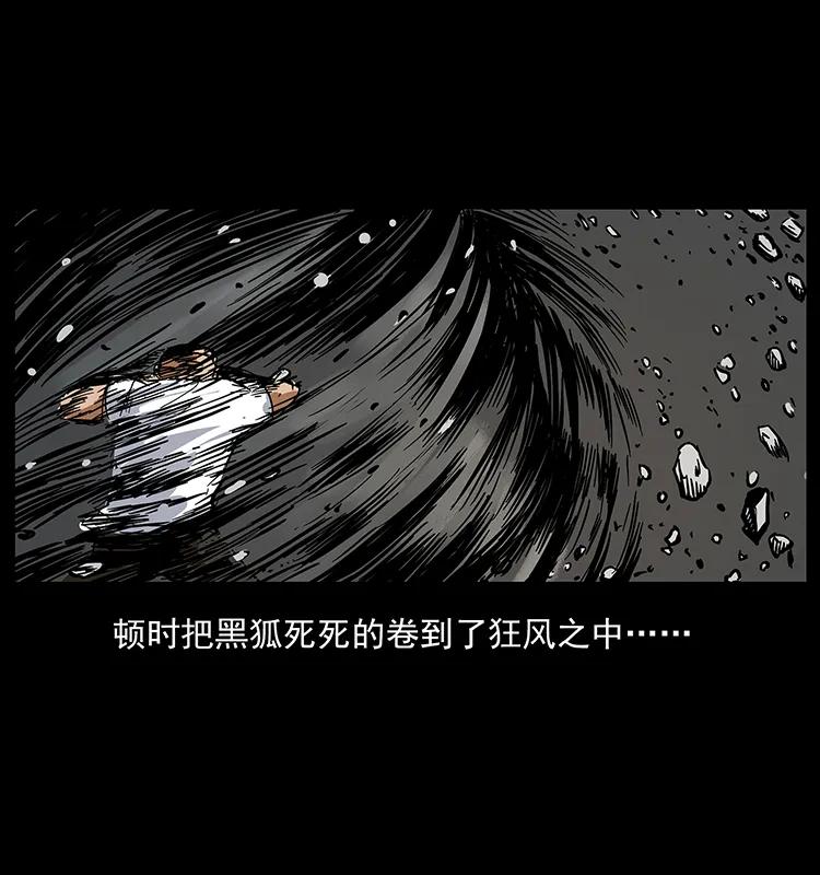 199 黑狐不好惹17