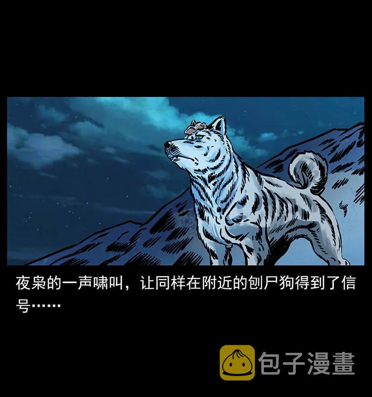 170 布局54