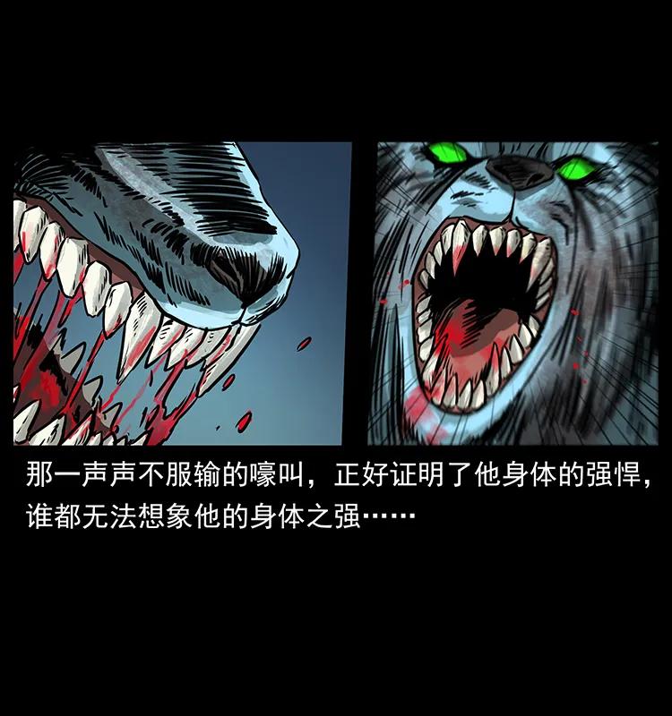 269 昆仑守卫75