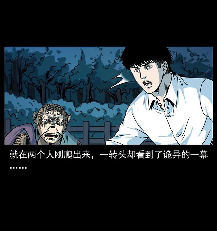 227 猴脑33