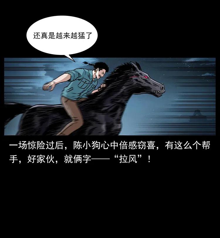 370 乌翅凤凰20
