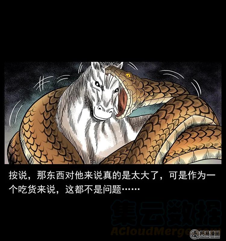 139 巨兽凶蟒48