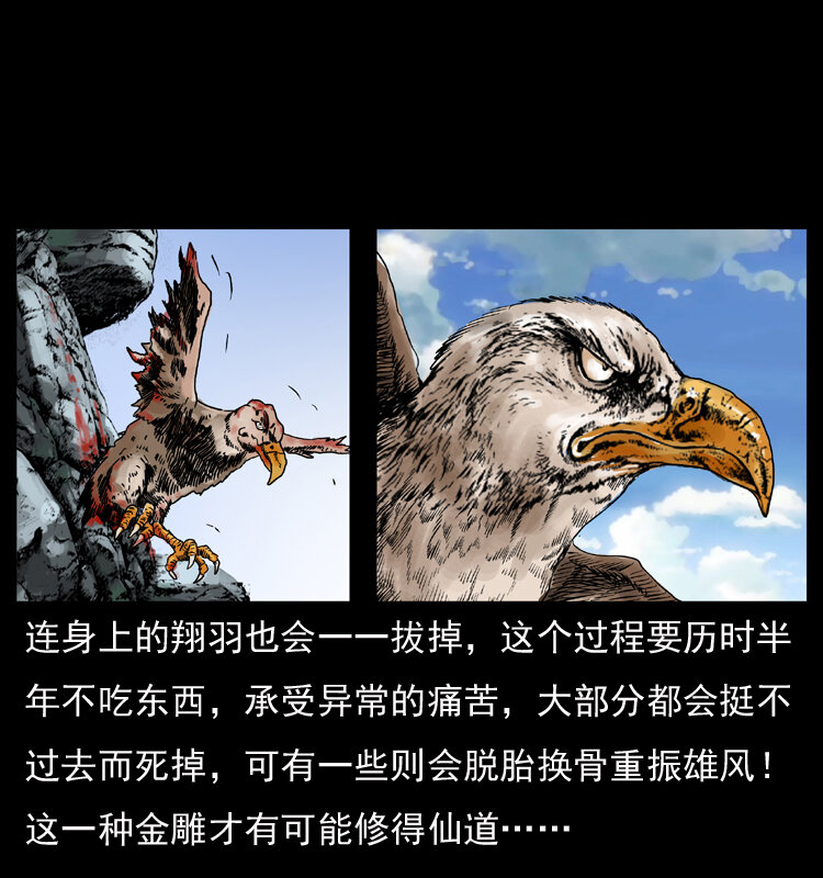 049 刨尸狗传奇212