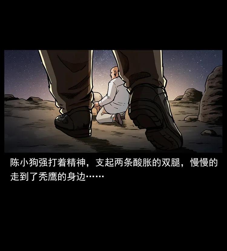 318 沙漠秃鹰17