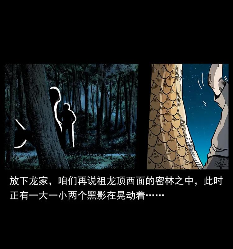 173 踏入龙家86