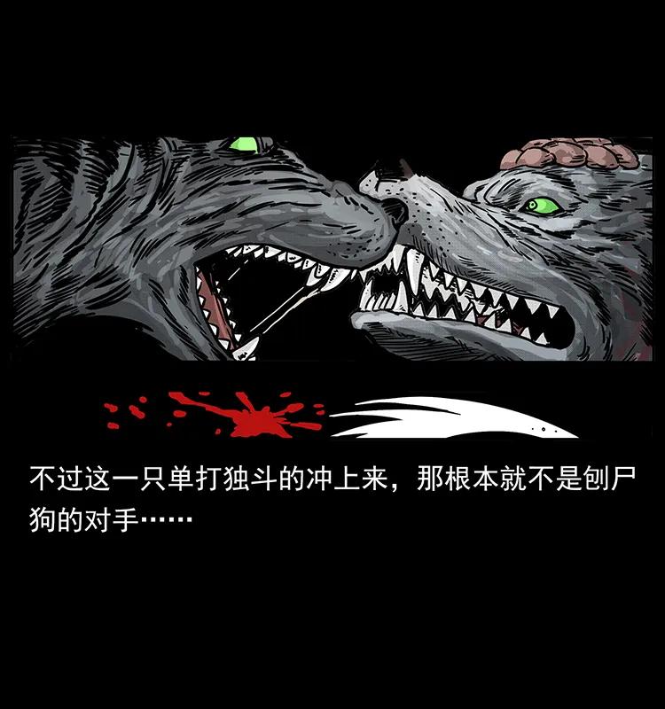 252 危机！危机37