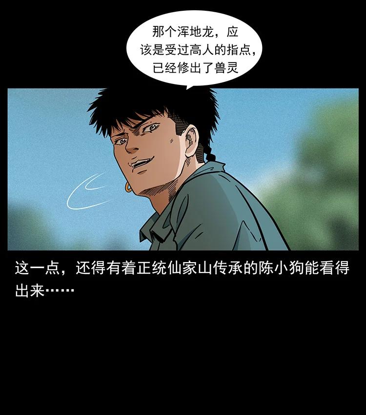 387 老大出手，天崩地裂！19