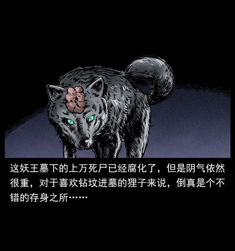251 刨尸狗遇险66