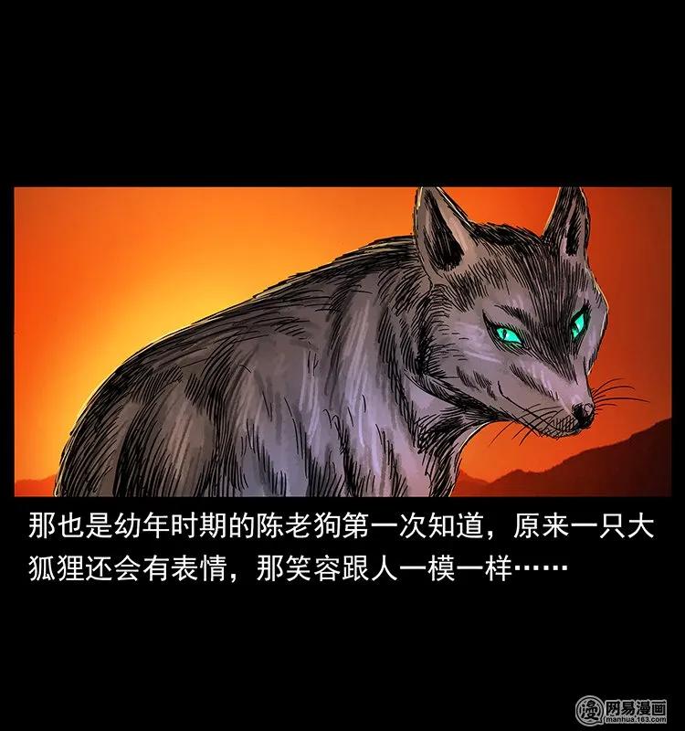 142 黑狐9