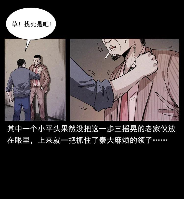 343 秦大麻烦的往事9