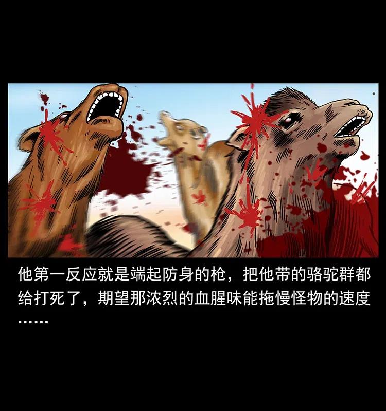 317 大漠凶兽23